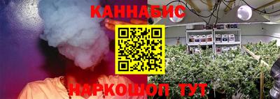 стафф Будённовск