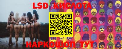 стафф Будённовск