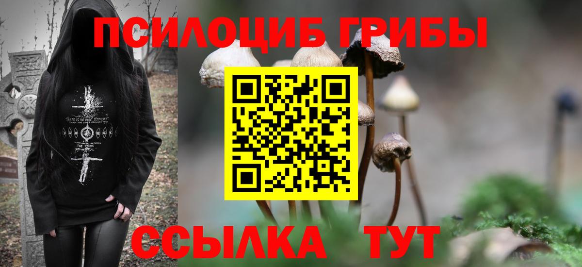 Псилоцибиновые грибы прущие грибы Тельмана